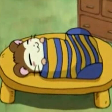 snoozer
