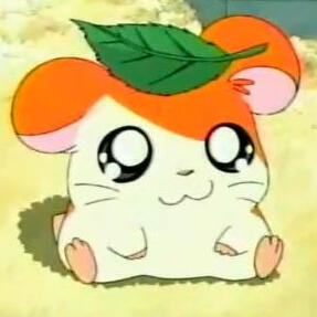 hamtaro