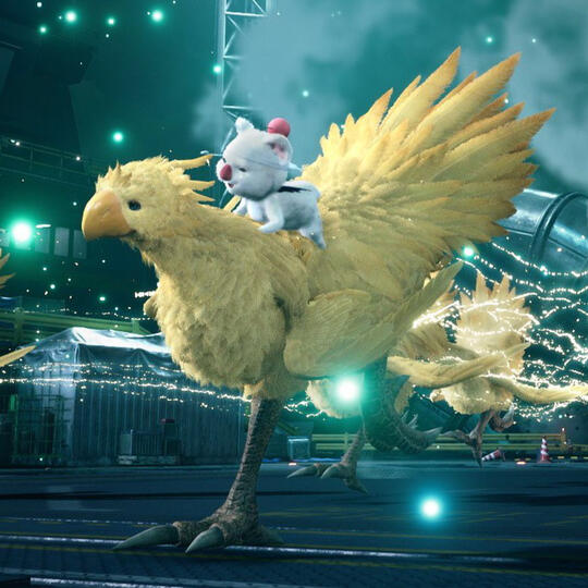 chocobo & moogle