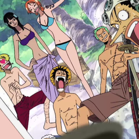 one piece op 4
