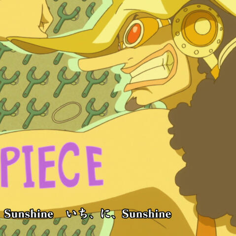 one piece op 15