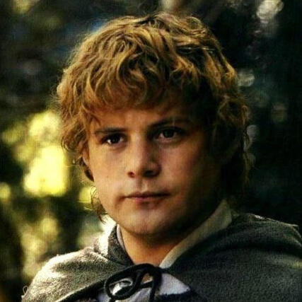 samwise gamgee (lord of the rings)