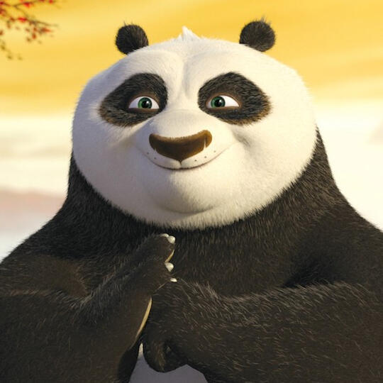 po (kung fu panda)