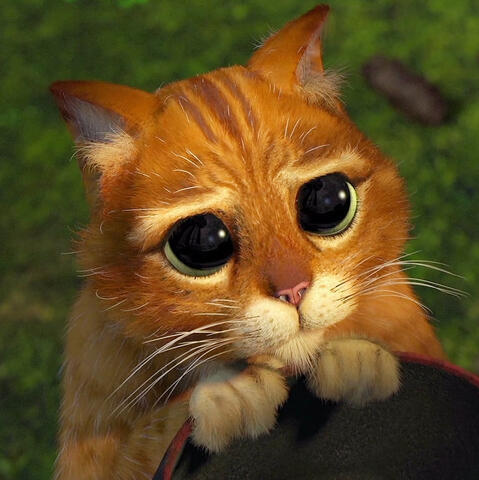 puss in boots (shrek)