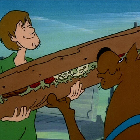 shaggy & scooby doo (scooby doo)