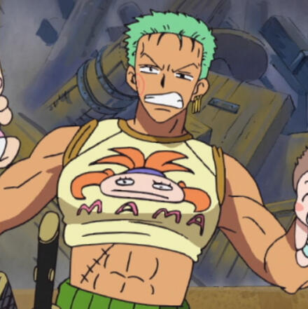 crop top zoro