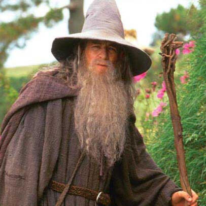 this pic of gandalf but also gandalf in general