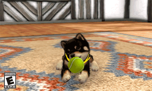 nintendogs