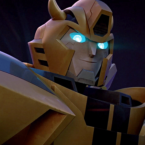 ♡ bumblebee ♡