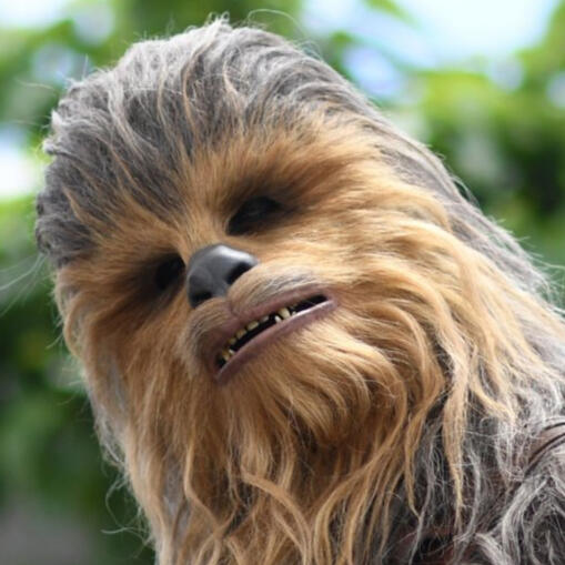 chewbacca