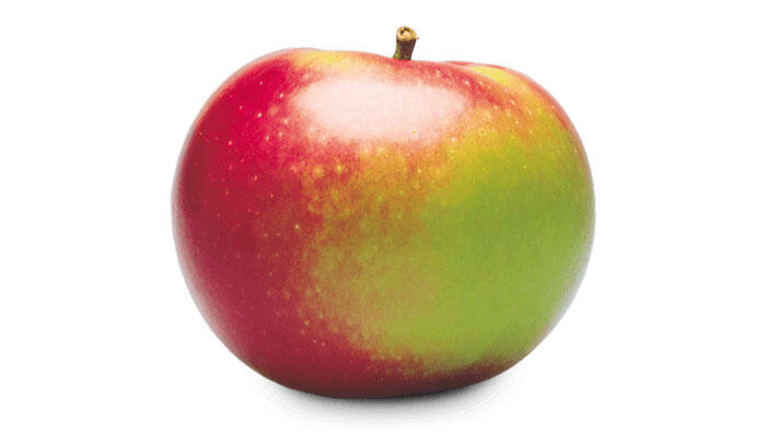 mcintosh apple