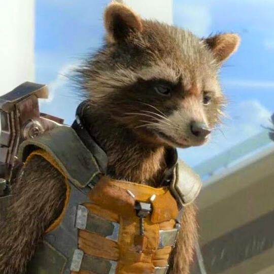 rocket raccoon ♡