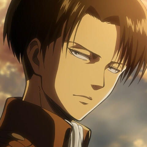 levi ackerman (i hate aot i just like levi)