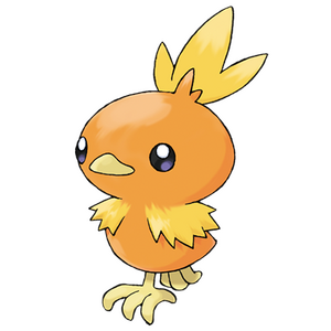 torchic torchic
