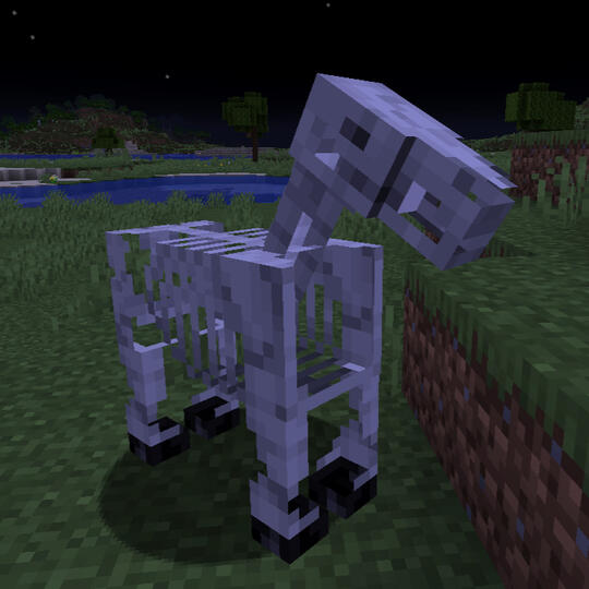 skeleton horse