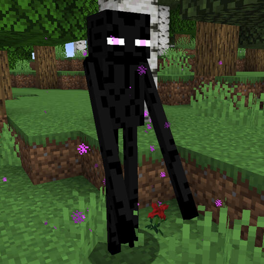 enderman
