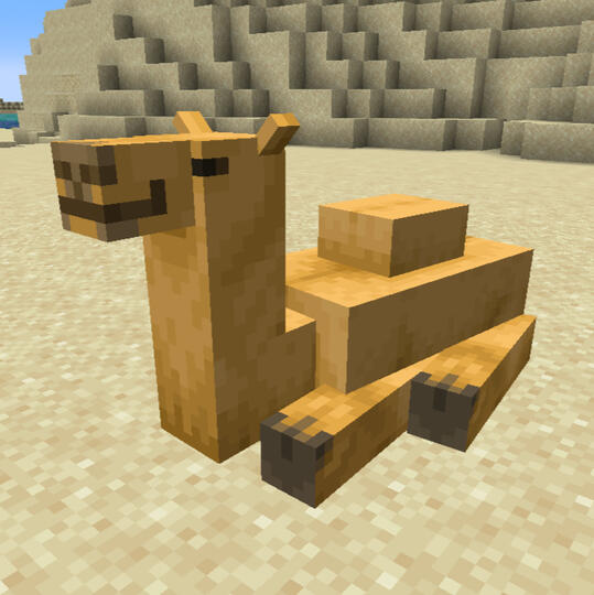 camel