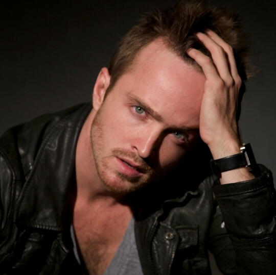 aaron paul